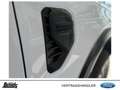 Ford Ranger 2,0 l EcoBlue Doppelkabine Autm. Wildtrak X ACC Weiß - thumbnail 25
