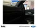 Ford Ranger 2,0 l EcoBlue Doppelkabine Autm. Wildtrak X ACC Weiß - thumbnail 19