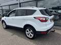 Ford Kuga 1.5 EcoBoost 150pk 2WD Titanium | TREKHAAK | Blanc - thumbnail 8