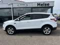 Ford Kuga 1.5 EcoBoost 150pk 2WD Titanium | TREKHAAK | Blanc - thumbnail 6