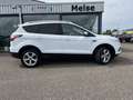 Ford Kuga 1.5 EcoBoost 150pk 2WD Titanium | TREKHAAK | Blanc - thumbnail 2