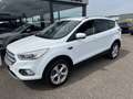 Ford Kuga 1.5 EcoBoost 150pk 2WD Titanium | TREKHAAK | Blanc - thumbnail 5