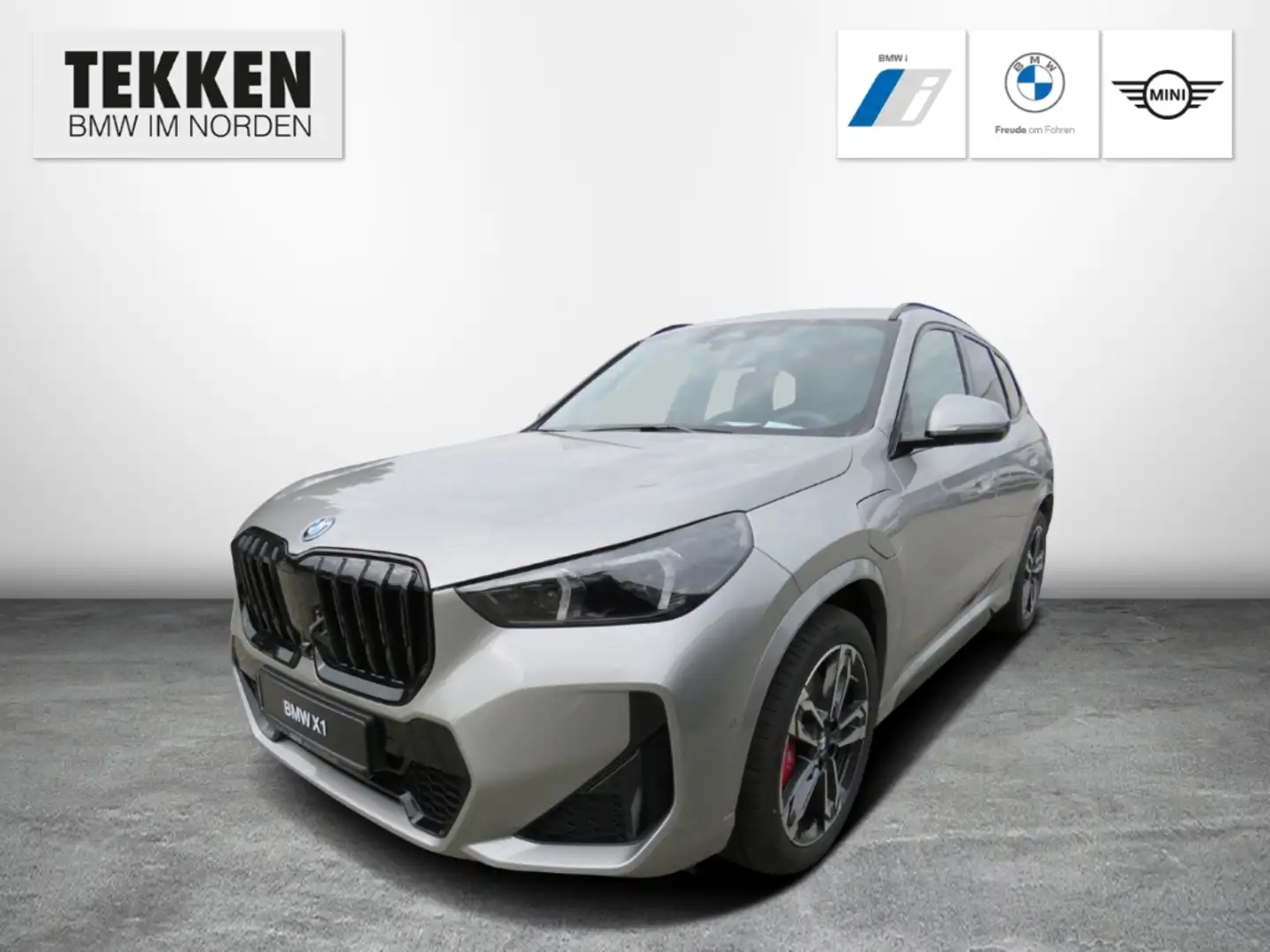 BMW X1 xDrive30e M-Sport Pro/ACC/Head Up/AHK/DAB Gris - 1