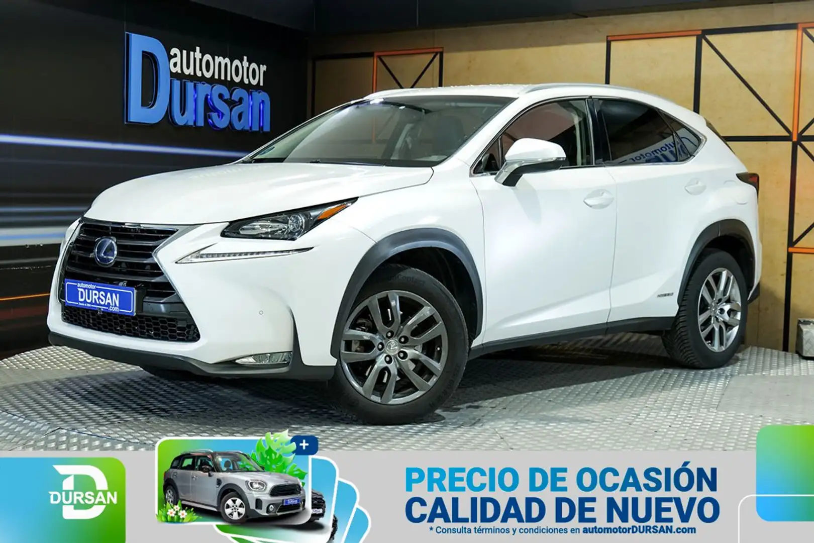 Lexus NX 300h 2.5 Executive 4WD Blanco - 1