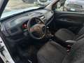 Opel Combo 1.6 CDTI 105CV PC-TN Van (750kg) E5+ Bianco - thumbnail 7