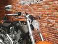 Harley-Davidson VRSCF Muscle 1250 Arancione - thumbnail 11