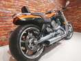 Harley-Davidson VRSCF Muscle 1250 Arancione - thumbnail 6