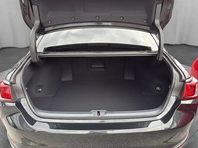 Lexus ES 300 h Business Line 218 PS *Glasschiebedach* Ansicht 5