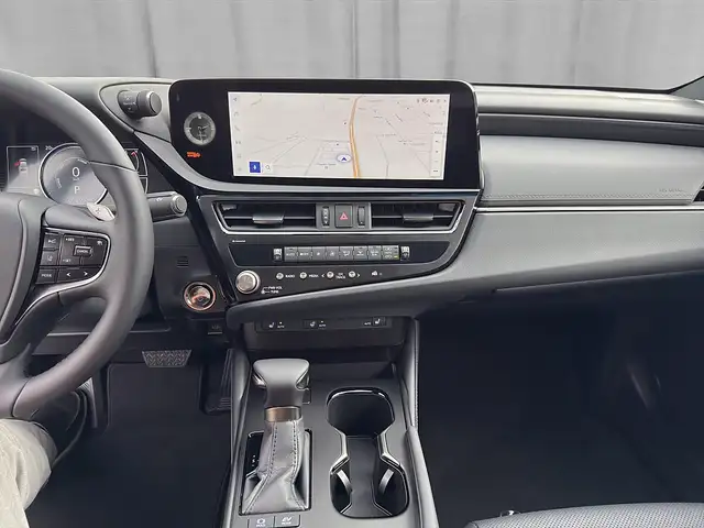 Lexus ES 300 h Business Line 218 PS *Glasschiebedach* Ansicht 11