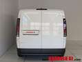 Kia PV5 Cargo L2H1 Business 71,2kWh Weiß - thumbnail 7