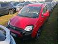 Fiat Panda Panda Cross 1.0 FireFly S&S Hybrid Rosso - thumbnail 1