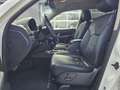 SsangYong Rexton Executive 4WD Automatik*Leder*Navi*AHK* Weiß - thumbnail 10