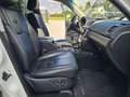 SsangYong Rexton Executive 4WD Automatik*Leder*Navi*AHK* Weiß - thumbnail 12