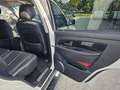 SsangYong Rexton Executive 4WD Automatik*Leder*Navi*AHK* Weiß - thumbnail 16