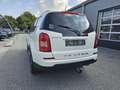 SsangYong Rexton Executive 4WD Automatik*Leder*Navi*AHK* Weiß - thumbnail 6
