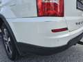SsangYong Rexton Executive 4WD Automatik*Leder*Navi*AHK* Weiß - thumbnail 31