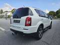 SsangYong Rexton Executive 4WD Automatik*Leder*Navi*AHK* Weiß - thumbnail 4