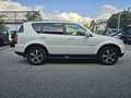 SsangYong Rexton Executive 4WD Automatik*Leder*Navi*AHK* Weiß - thumbnail 5