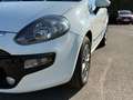 Fiat Punto MyLife + Garantie Klima 8-fach TÜV+Service NEU White - thumbnail 10