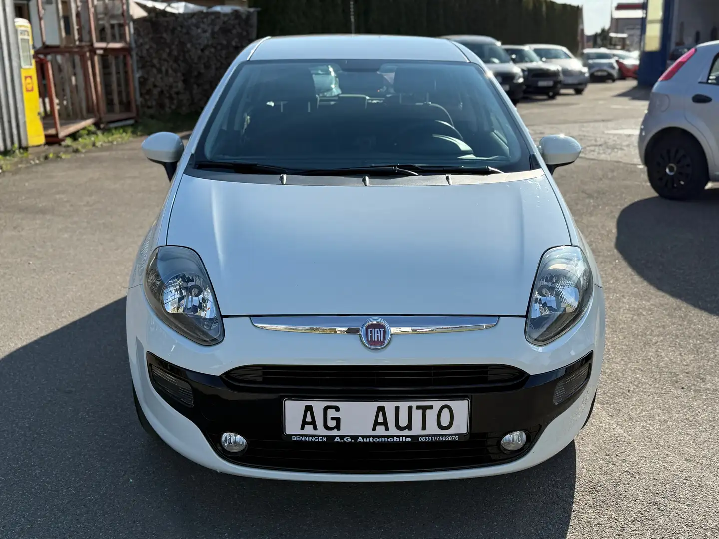 Fiat Punto MyLife + Garantie Klima 8-fach TÜV+Service NEU White - 2