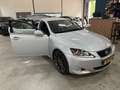 Lexus IS 250 Business / NAVI-MULTIEMEDIA / AUTOMAAT / DEALER ON Gris - thumbnail 7