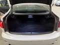 Lexus IS 250 Business / NAVI-MULTIEMEDIA / AUTOMAAT / DEALER ON Gris - thumbnail 15