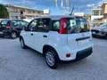 Fiat Panda 1.0 FireFly S&S Hybrid City Life Bianco - thumbnail 5