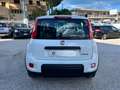 Fiat Panda 1.0 FireFly S&S Hybrid City Life Bianco - thumbnail 6