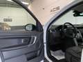 Land Rover Discovery Sport 2.0TD4 SE 4x4 Aut. 150 Blanco - thumbnail 7