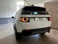 Land Rover Discovery Sport 2.0TD4 SE 4x4 Aut. 150 Blanco - thumbnail 5