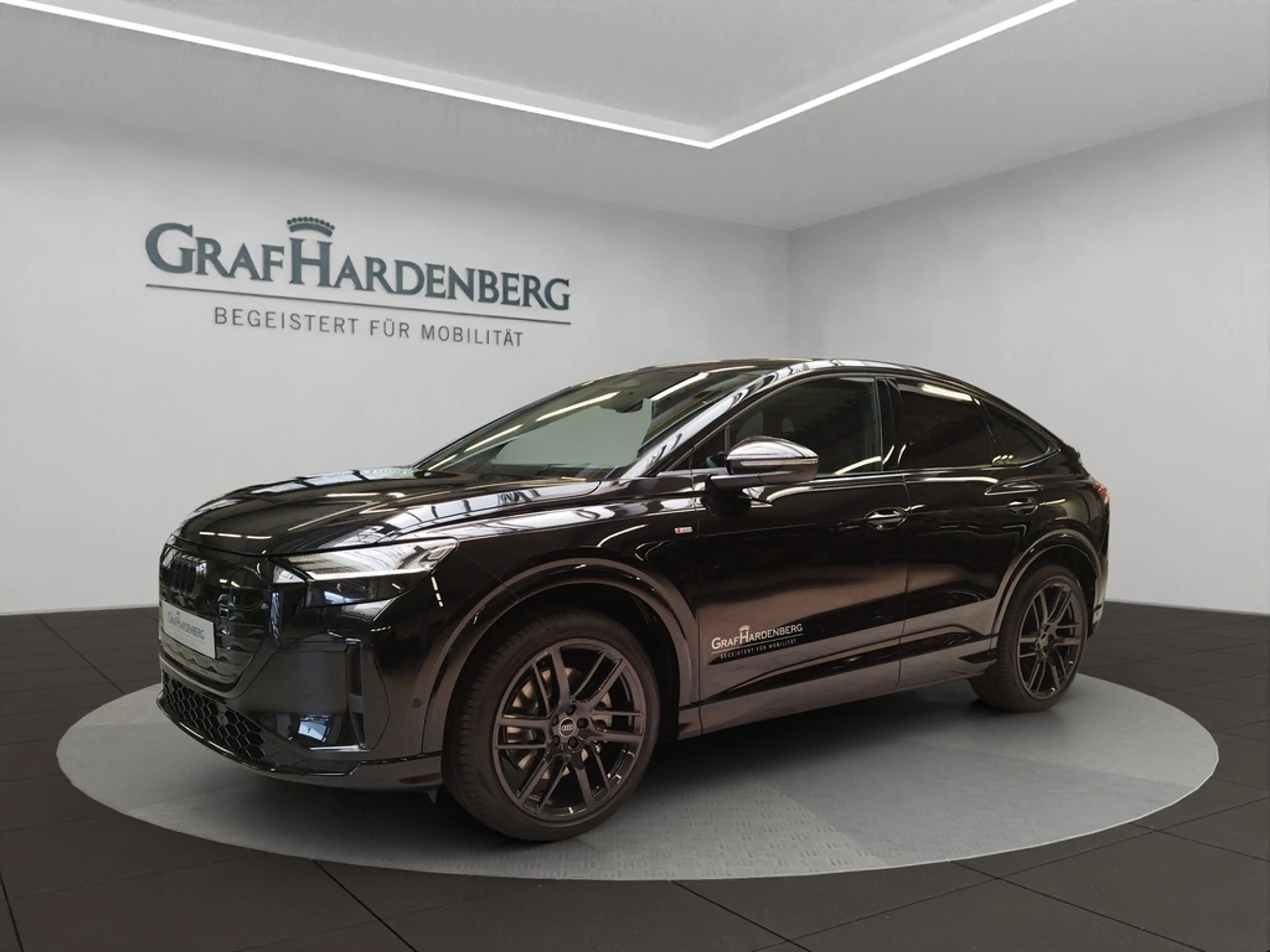 Audi e-tron 220kW qu. S line Pano ACC AHK