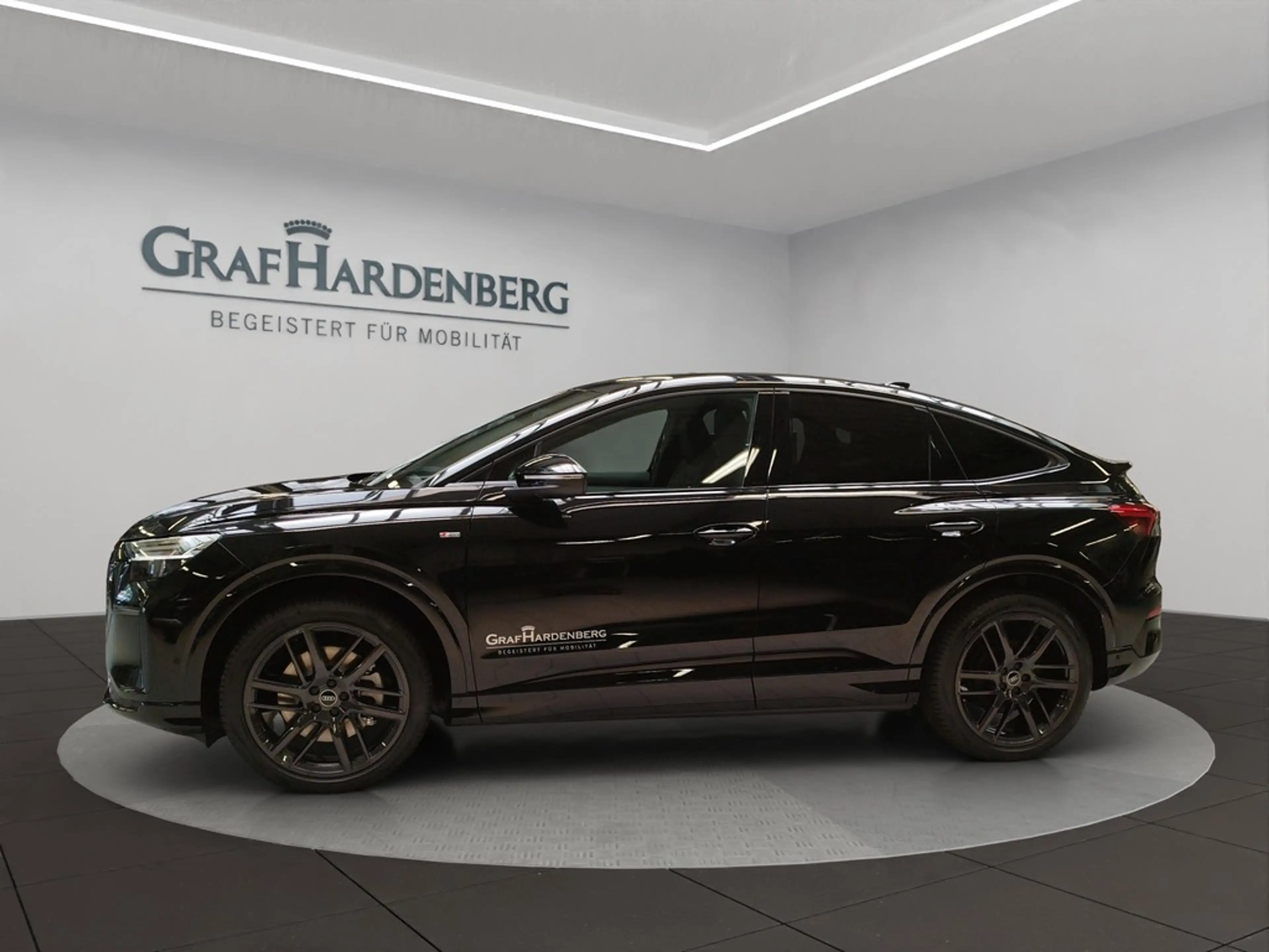 Audi e-tron 220kW qu. S line Pano ACC AHK — photo 5