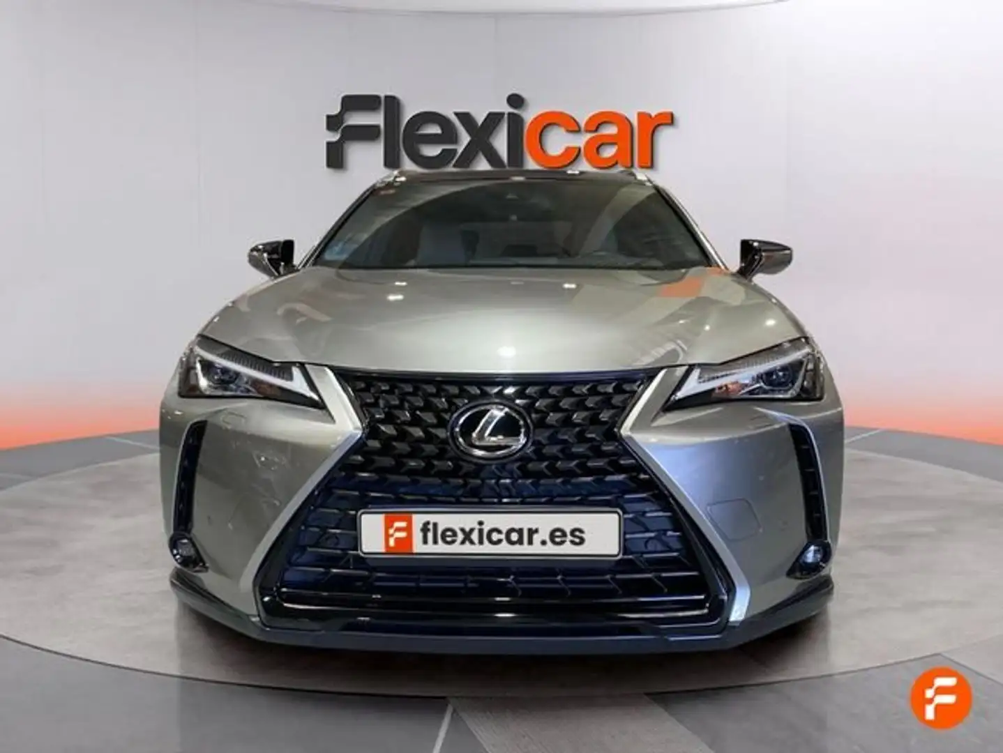 Lexus UX 250h F Sport 2WD Gris - 2