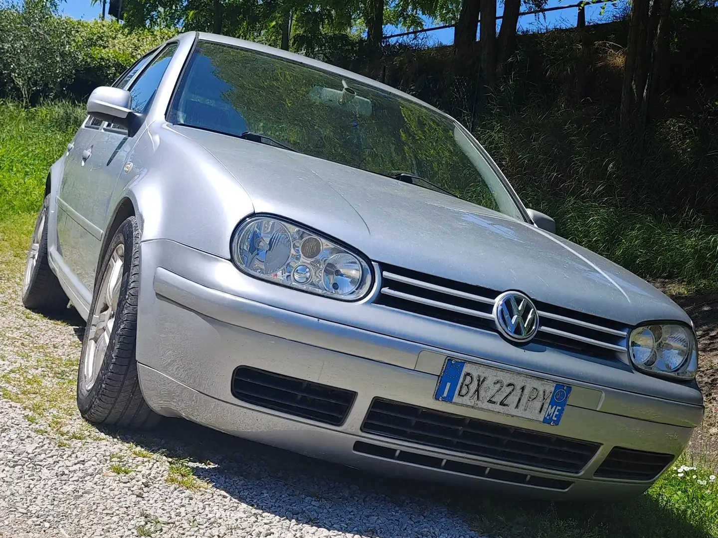 Volkswagen Golf 1.9 TDI 130cv Argento - 1