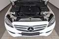 Mercedes-Benz C 250 d T T.Leder,Navi,LED,SH,PDC,el. AHK Blanc - thumbnail 23