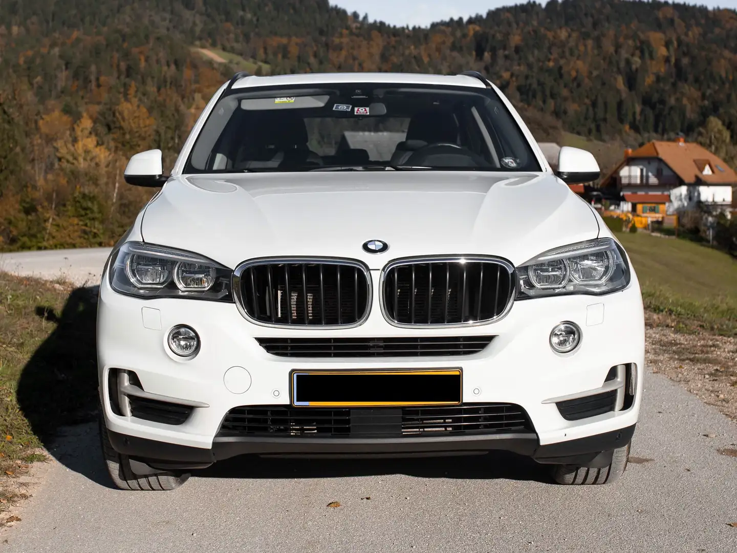 BMW X5 xDrive30d 7p. Wit - 1