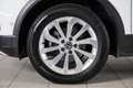 Volkswagen T-Roc 1.0 TSI Life 110CV Wit - thumbnail 6