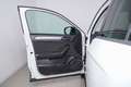 Volkswagen T-Roc 1.0 TSI Life 110CV Wit - thumbnail 14