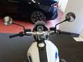 BMW R nineT URBAN GS Bianco - thumbnail 7