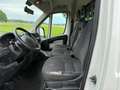 Citroen Jumper 35 L2H2 Profi Heavy HDi 180 Alb - thumbnail 4
