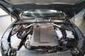 Audi A5 40 TDI Sportback Quattro S-Tronic S-Line -TETTO/20 Grau - thumbnail 12
