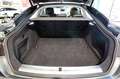 Audi A5 40 TDI Sportback Quattro S-Tronic S-Line -TETTO/20 Grau - thumbnail 13