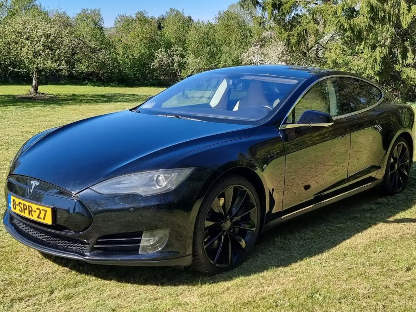 Tesla Model S Model S 60 Base Zwart - 1