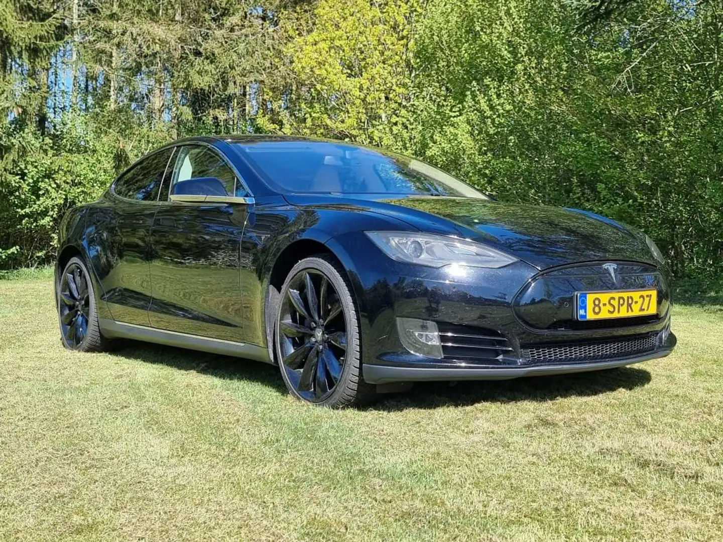 Tesla Model S Model S 60 Base Zwart - 2