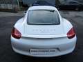 Porsche Cayman Cayman 2.7 275cv PDK * 74.000 KM REALI * bijela - thumbnail 6