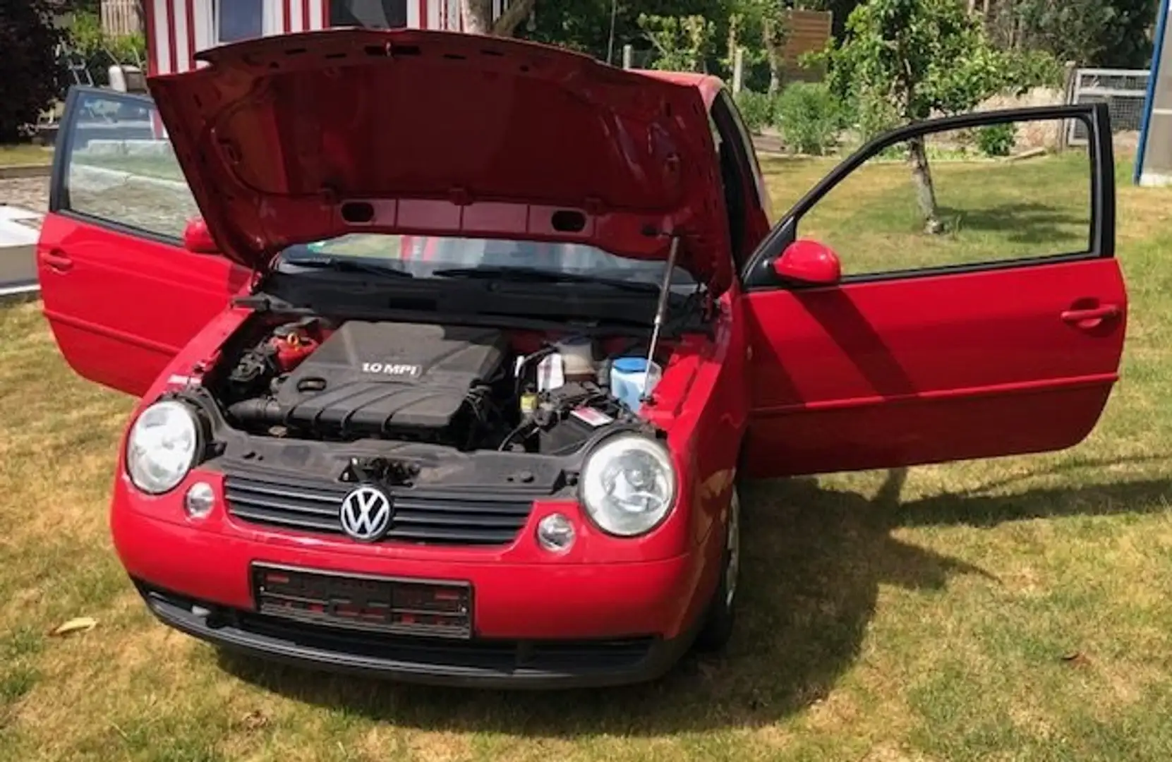 Volkswagen Lupo Lupo 1.0 Princeton Rot - 1