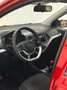 Kia Picanto Picanto 1.0 12V 5 porte Trendy Rosso - thumbnail 5
