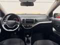Kia Picanto Picanto 1.0 12V 5 porte Trendy Rosso - thumbnail 8