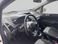 Ford EcoSport 1.0 EcoBoost Trend Blanc - thumbnail 14