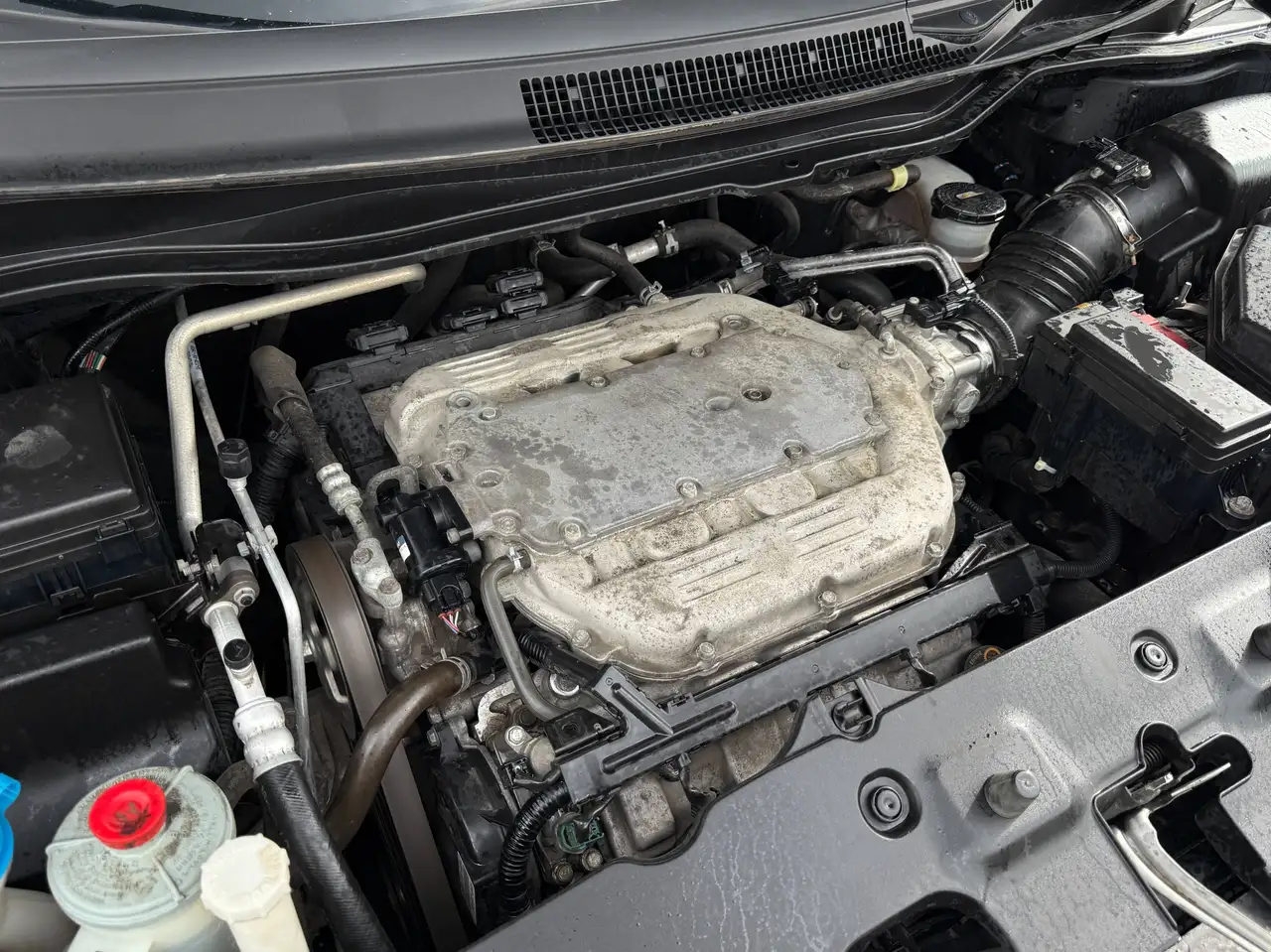 Honda Odyssey снимка Honda Odyssey